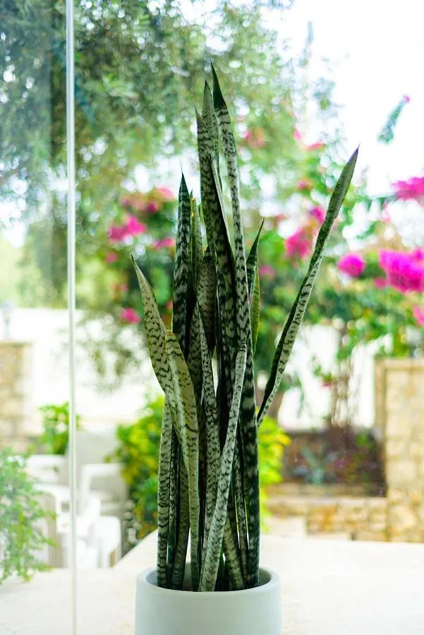 Hotel Orange Dhermi